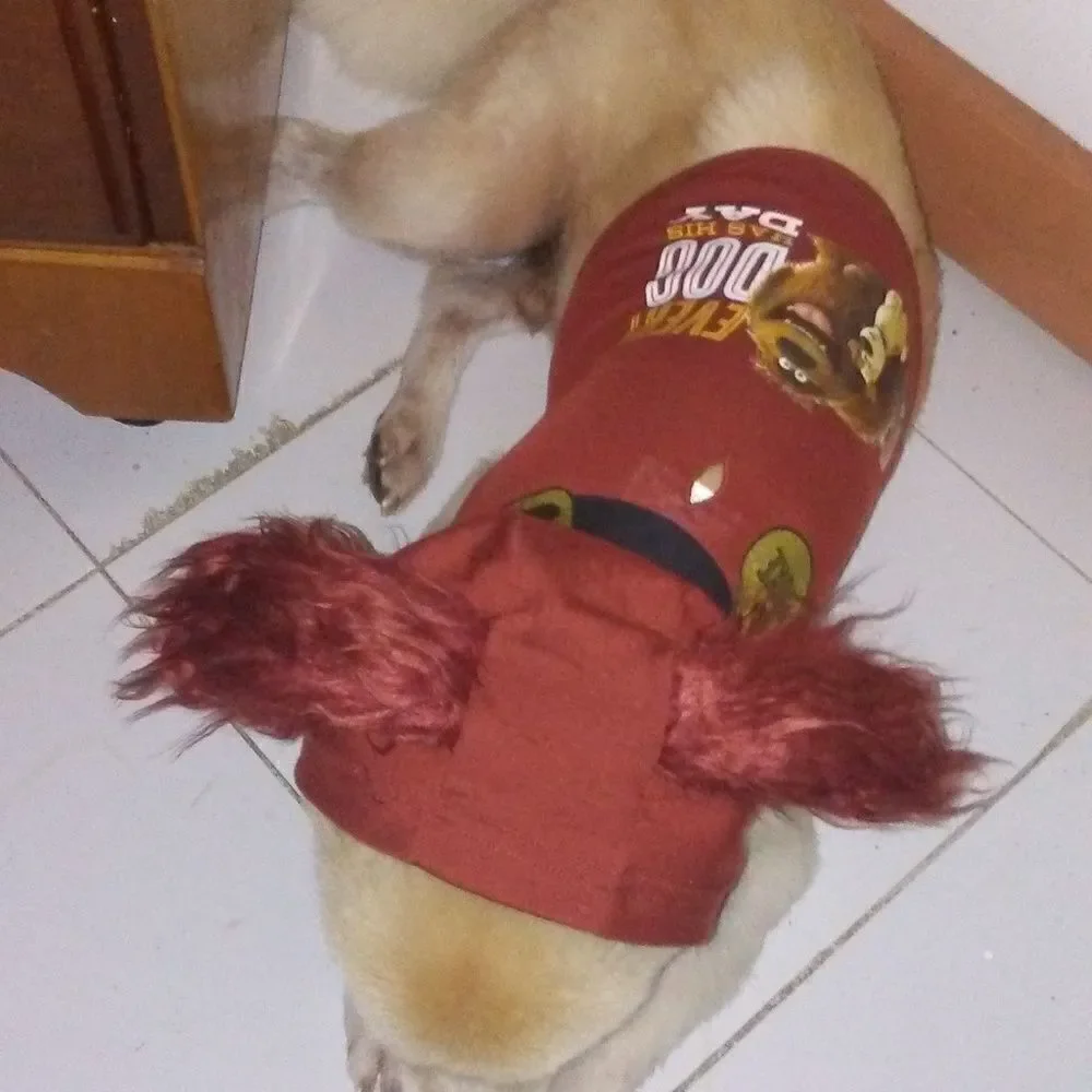 Smedium Doggie top